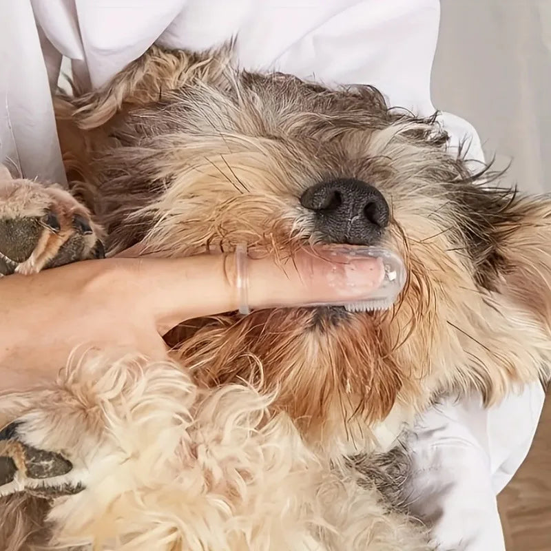 4-Piece Pet Finger Toothbrush Set for Dogs and Cats