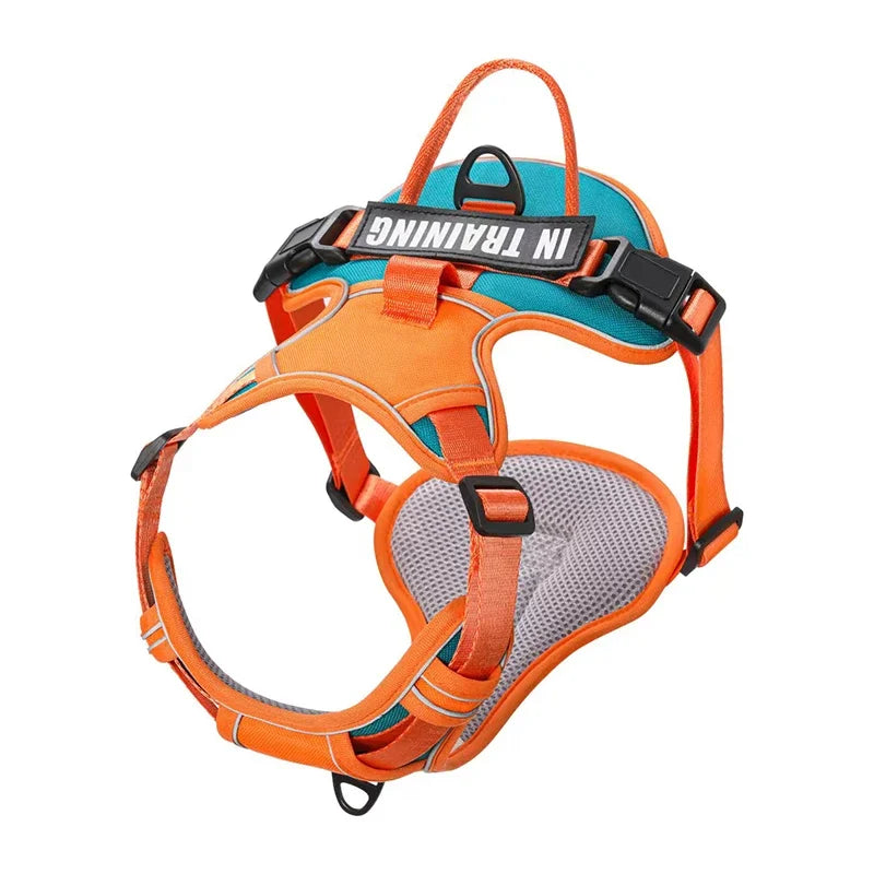 Personalized Reflective Breathable Dog Harness and Leash Set