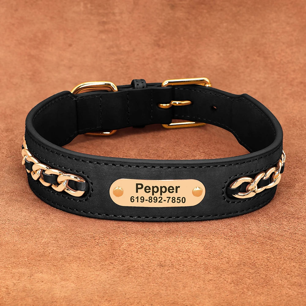 Personalized Engraved Leather Dog Collar and ID Nameplate