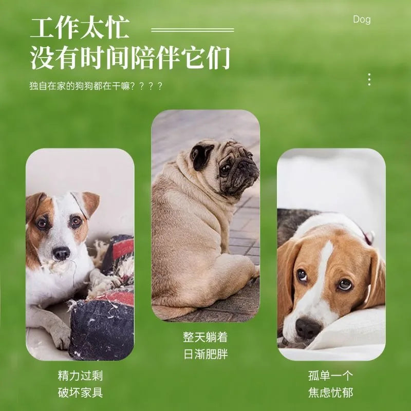 Automatic Dog Tennis Ball and Treat Launcher Toy