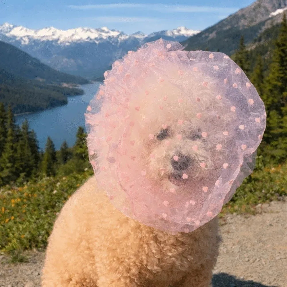 Breathable Adjustable Dog AntiBite Veil Mask