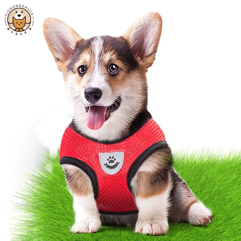 Adjustable Mesh Dog Vest and Leash Set for Small Pets