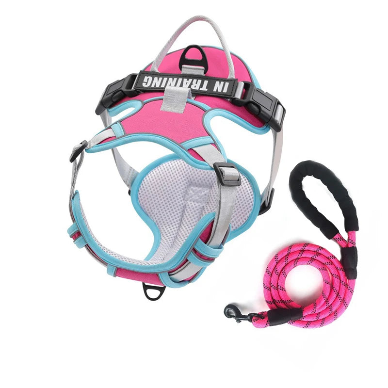 Personalized Reflective Breathable Dog Harness and Leash Set