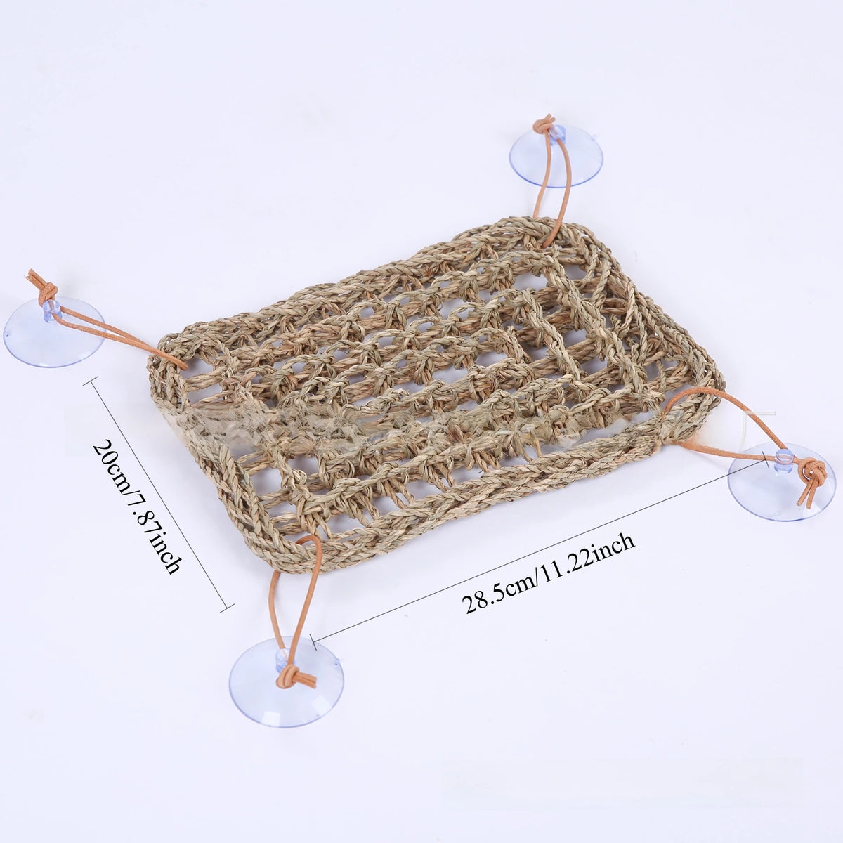 Seagrass Reptile Hammock and Suction Cup Bed