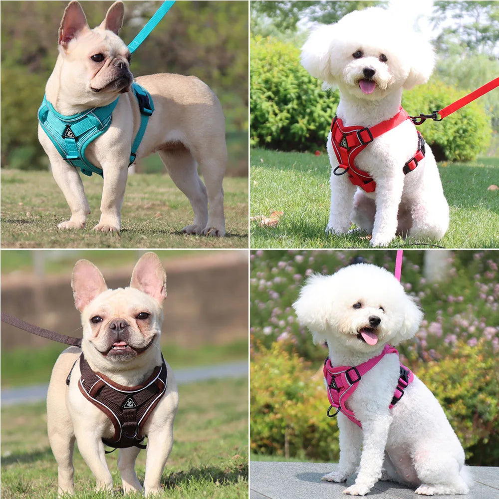 Small Dog Harness and Leash Set