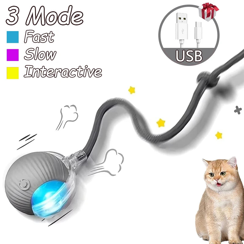 2 Pack Smart Interactive Rolling Cat Ball Toys with Faux Tails