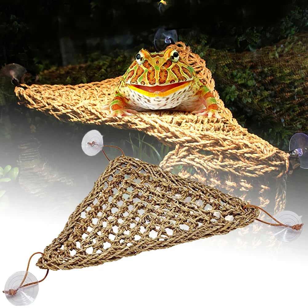 Seagrass Reptile Hammock and Suction Cup Bed