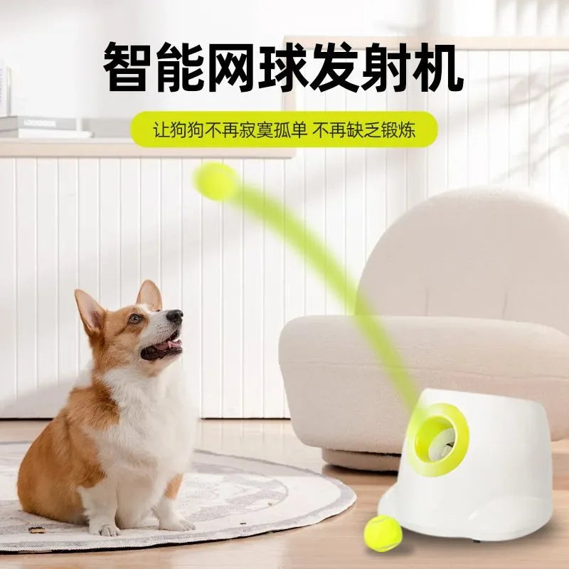 Automatic Dog Tennis Ball and Treat Launcher Toy