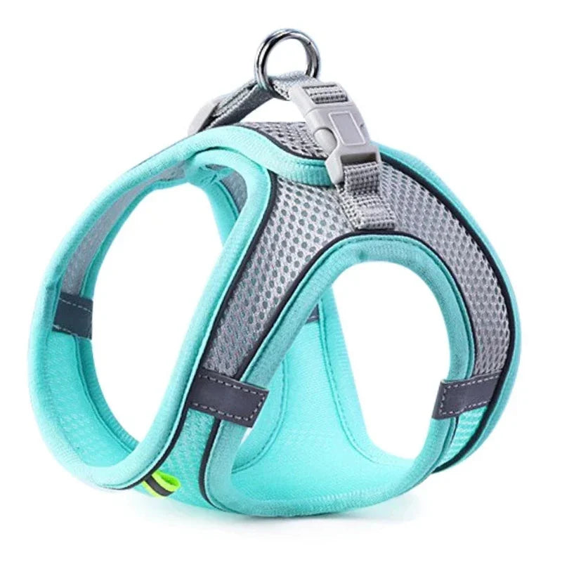 Reflective Breathable Adjustable Dog Harness And Leash Set