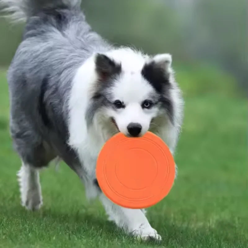 Interactive Silicone Dog Flying Saucer Toy