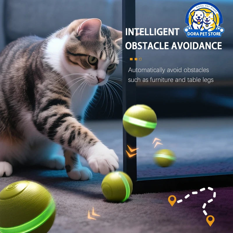 Electric Flying Fish Intelligent Self Entertainment Cat Toy Car