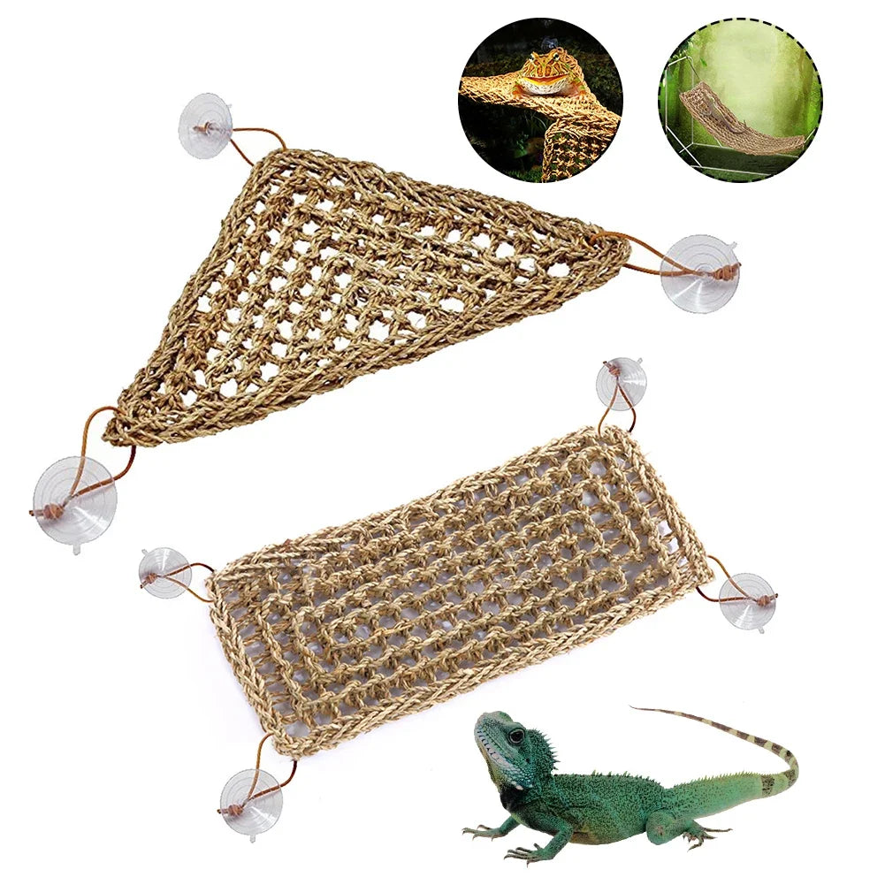 Seagrass Reptile Hammock and Suction Cup Bed