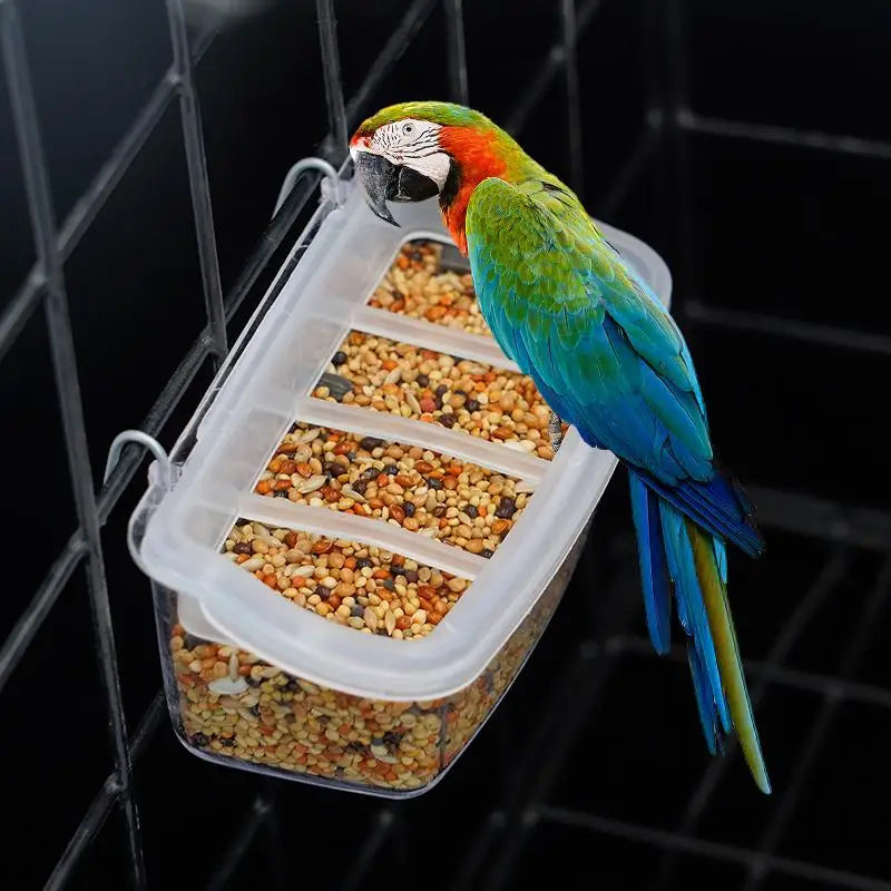Hanging Bird and Poultry Feeder Drinker Box