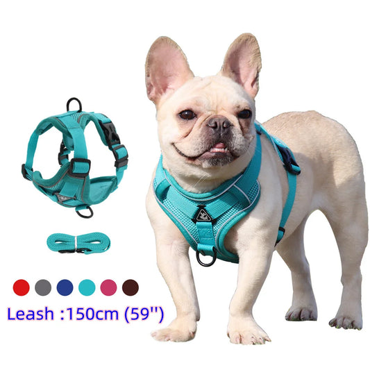 Small Dog Harness and Leash Set