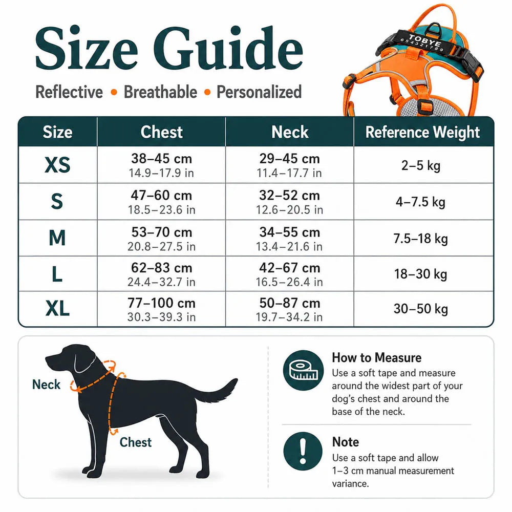 Personalized Reflective Breathable Dog Harness and Leash Set