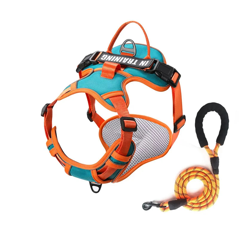 Personalized Reflective Breathable Dog Harness and Leash Set