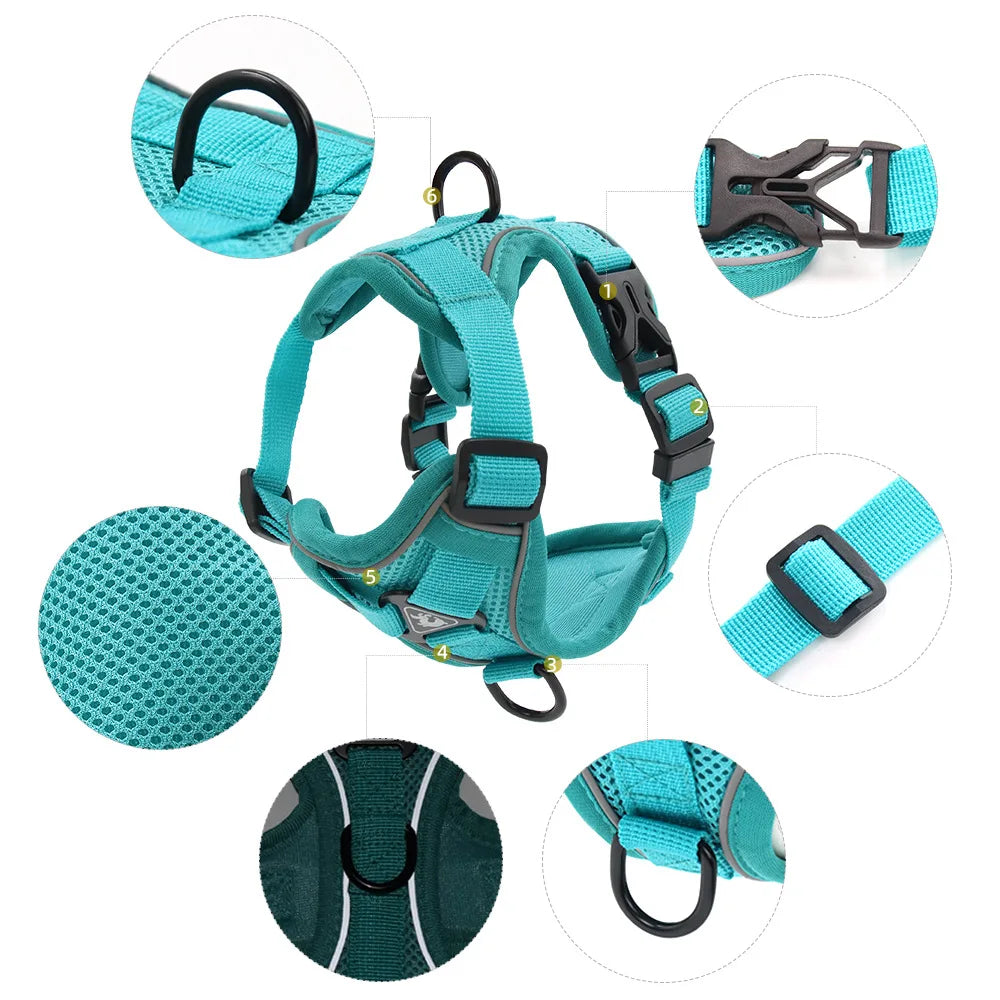 Small Dog Harness and Leash Set