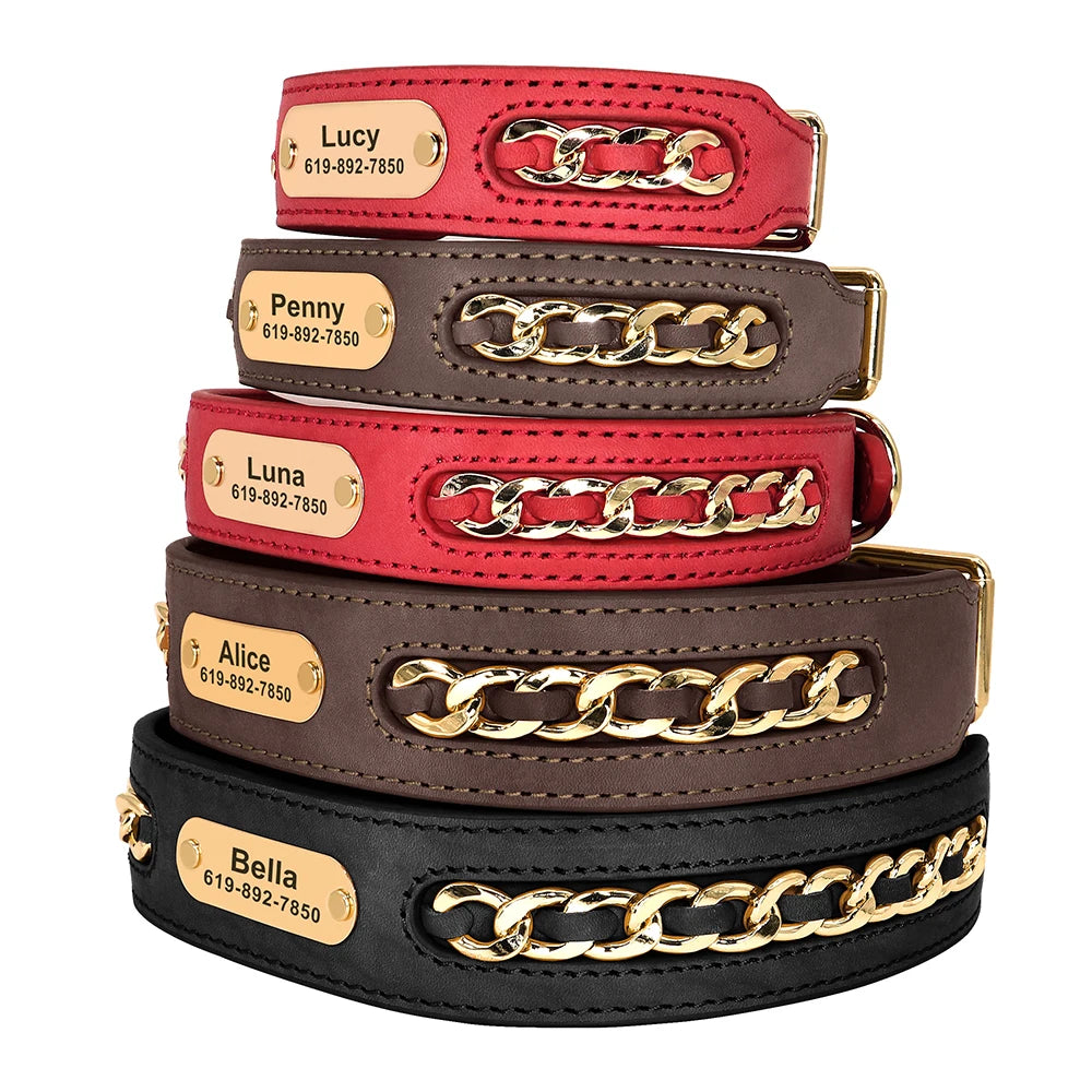 Personalized Engraved Leather Dog Collar and ID Nameplate