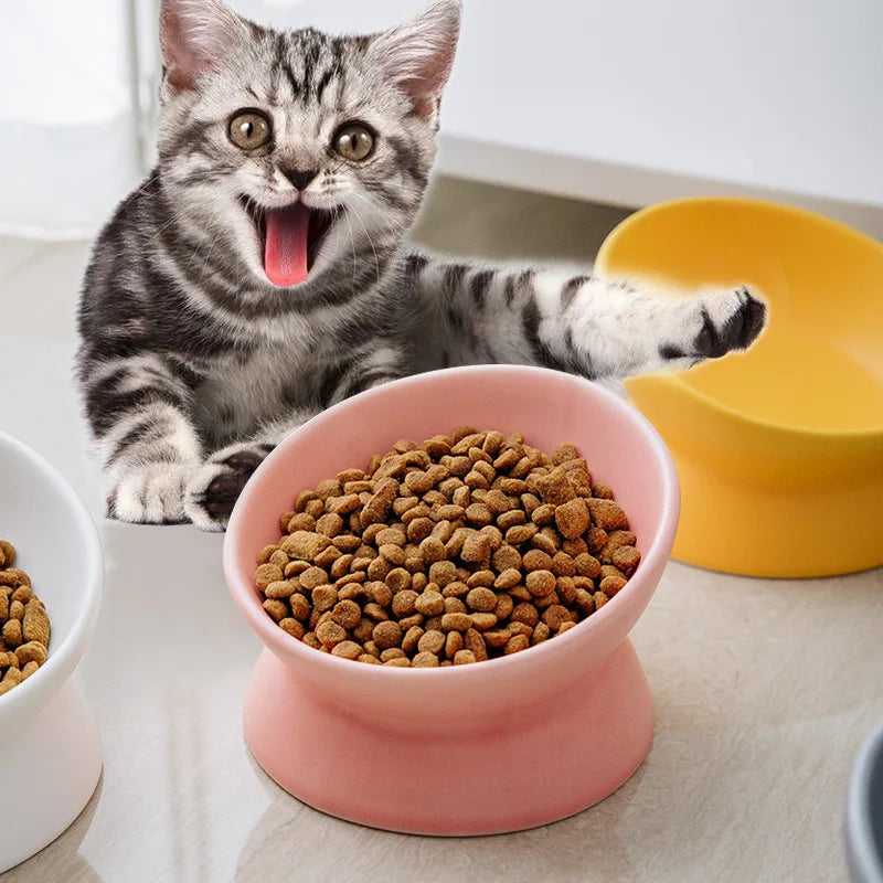 Tilted Elevated Ceramic Cat and Small Dog Bowl Stand