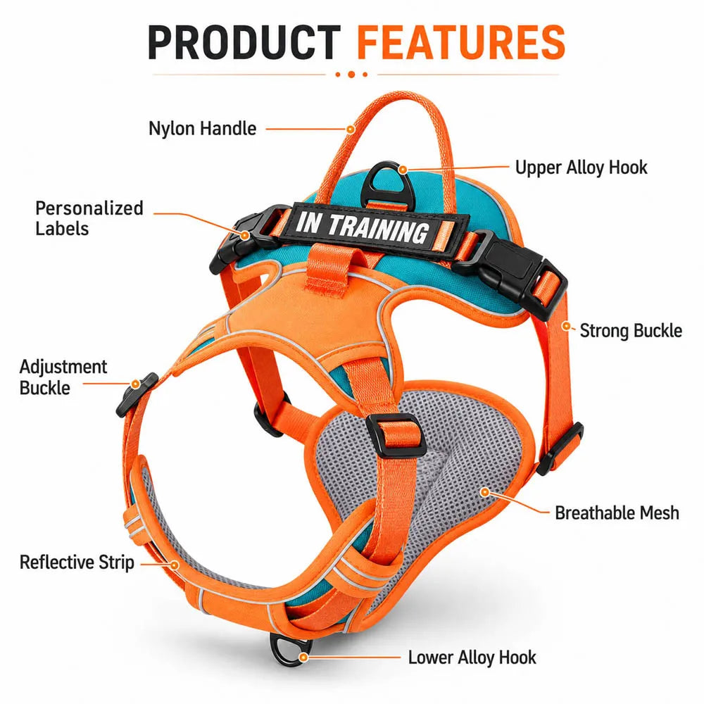 Personalized Reflective Breathable Dog Harness and Leash Set