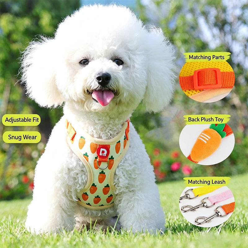 Cute Strawberry Dog Harness and Leash Set