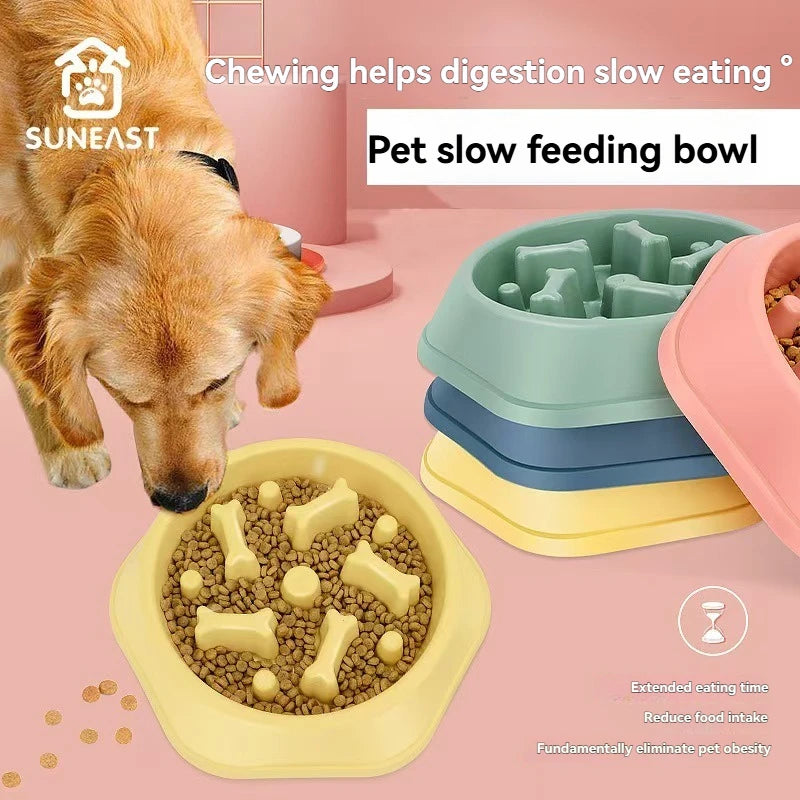 Eco Friendly Pet Food Bowl