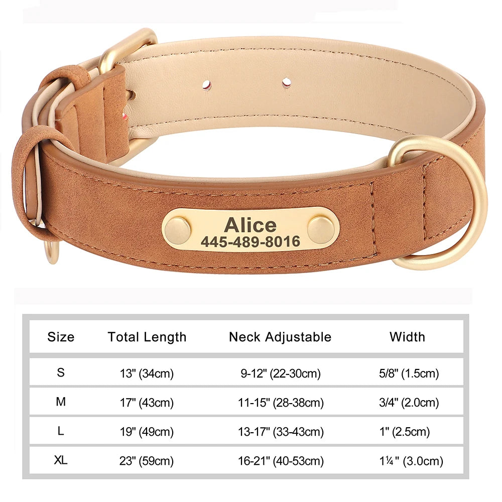 Personalized Leather Dog Collar with Engraved Nameplate