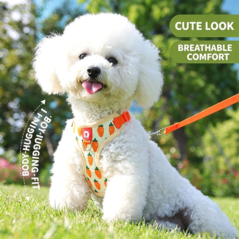 Cute Strawberry Dog Harness and Leash Set