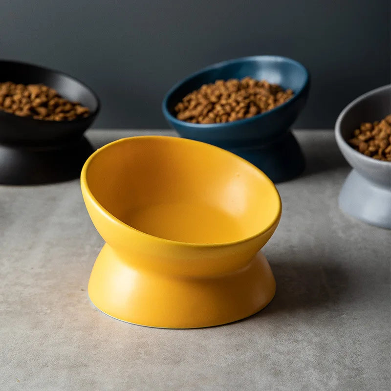 Tilted Elevated Ceramic Cat and Small Dog Bowl Stand