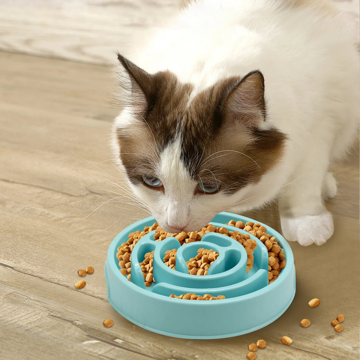 Non-Slip Durable Slow Feeder Pet Bowl for All Sizes