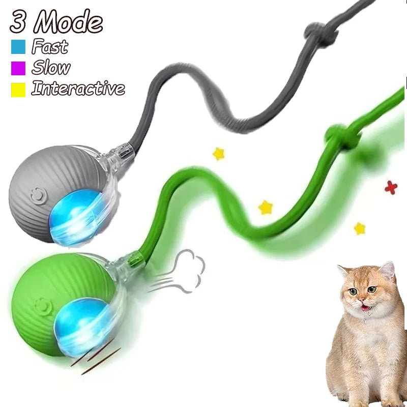 2 Pack Smart Interactive Rolling Cat Ball Toys with Faux Tails