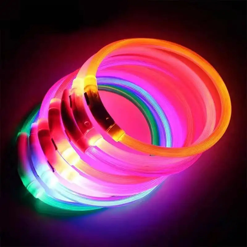 Rechargeable LED Safety Dog Collar