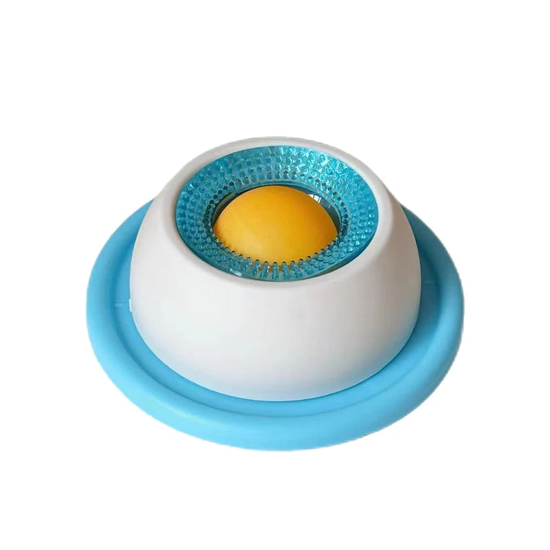 Dog and Cat Slow Feeder Pet Lick Mat