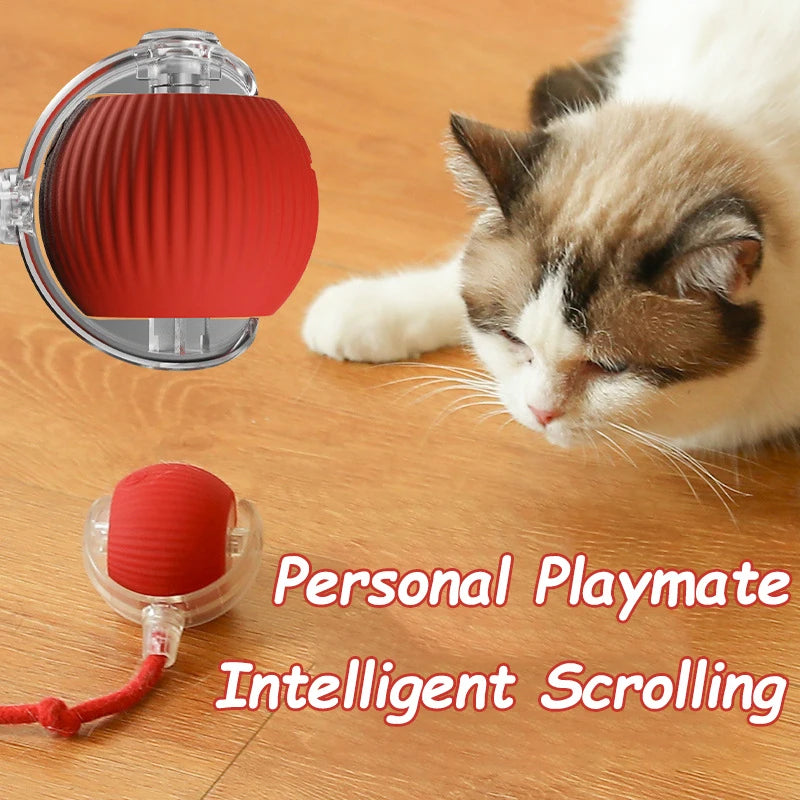 Rechargeable Interactive Rolling Cat Toy with Faux Tail