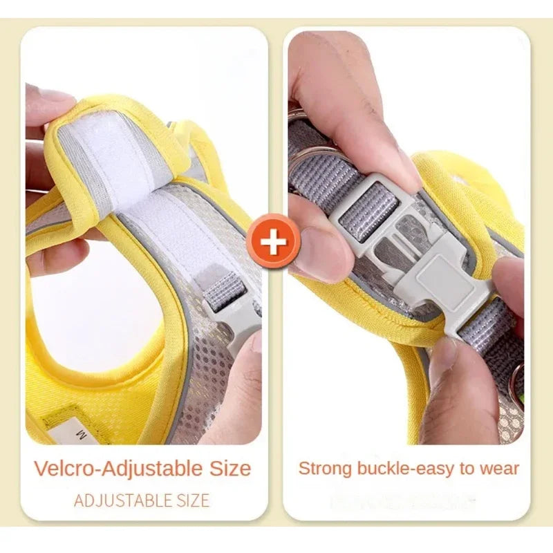 Reflective Breathable Adjustable Dog Harness And Leash Set