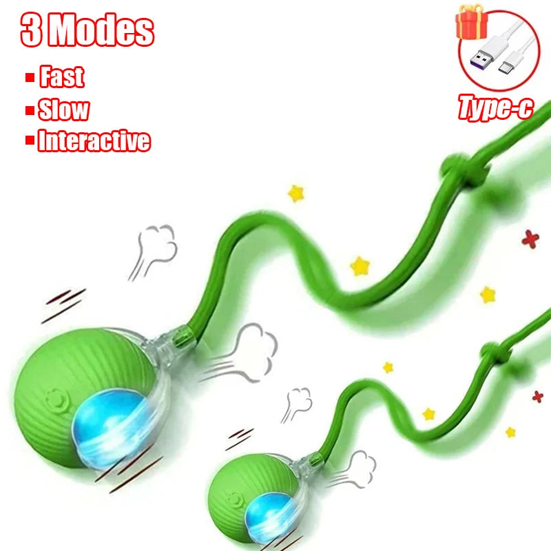 Rechargeable Interactive Rolling Cat Toy with Faux Tail