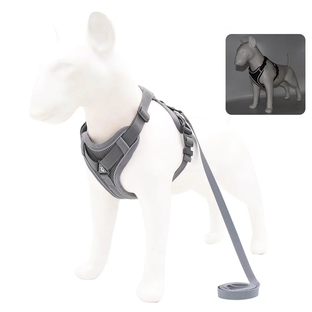 Small Dog Harness and Leash Set