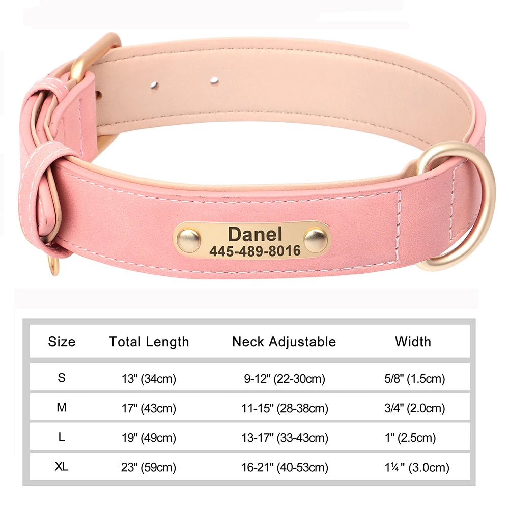 Personalized Leather Dog Collar with Engraved Nameplate