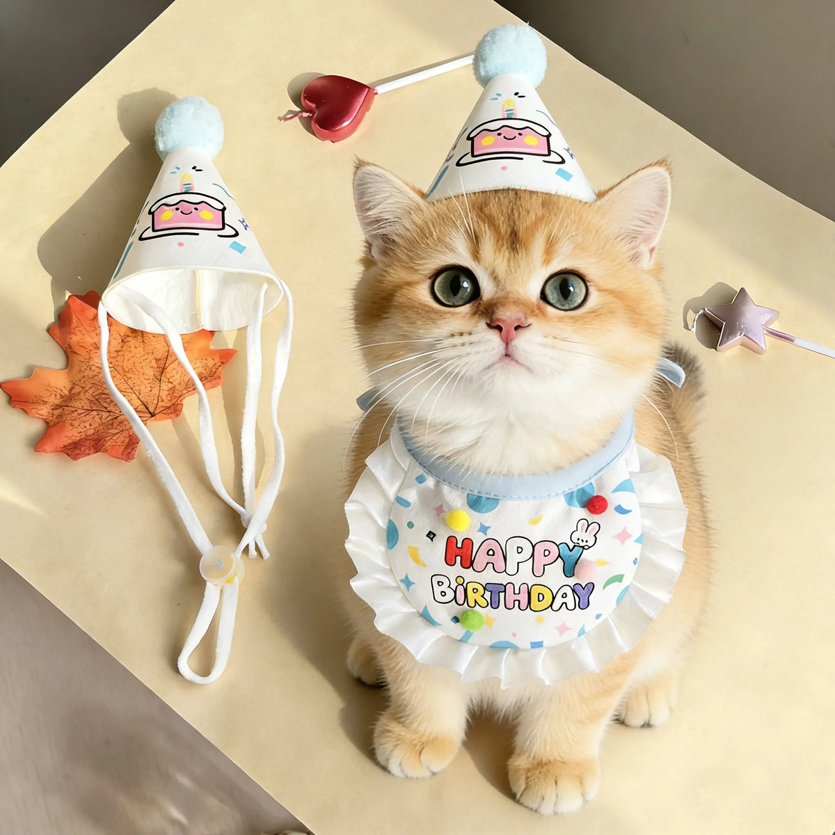 Pet Birthday Hat and Bib Party Costume Set
