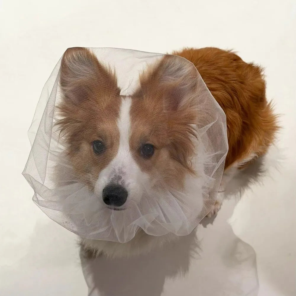 Breathable Adjustable Dog AntiBite Veil Mask