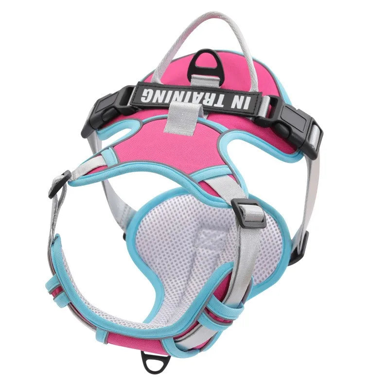 Personalized Reflective Breathable Dog Harness and Leash Set