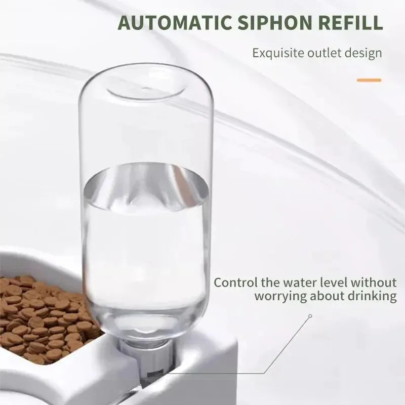 Double Pet Bowl Set with Automatic Water Dispenser