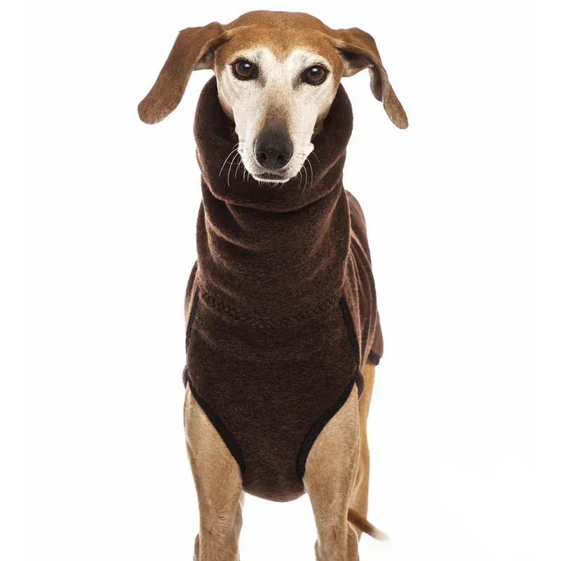 Warm High Collar Greyhound Winter Sweater