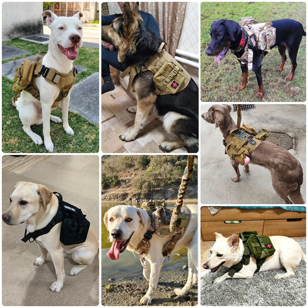 Military Tactical Dog Harness And Leash Set