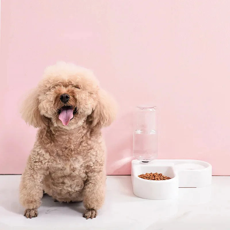 Double Pet Bowl Set with Automatic Water Dispenser