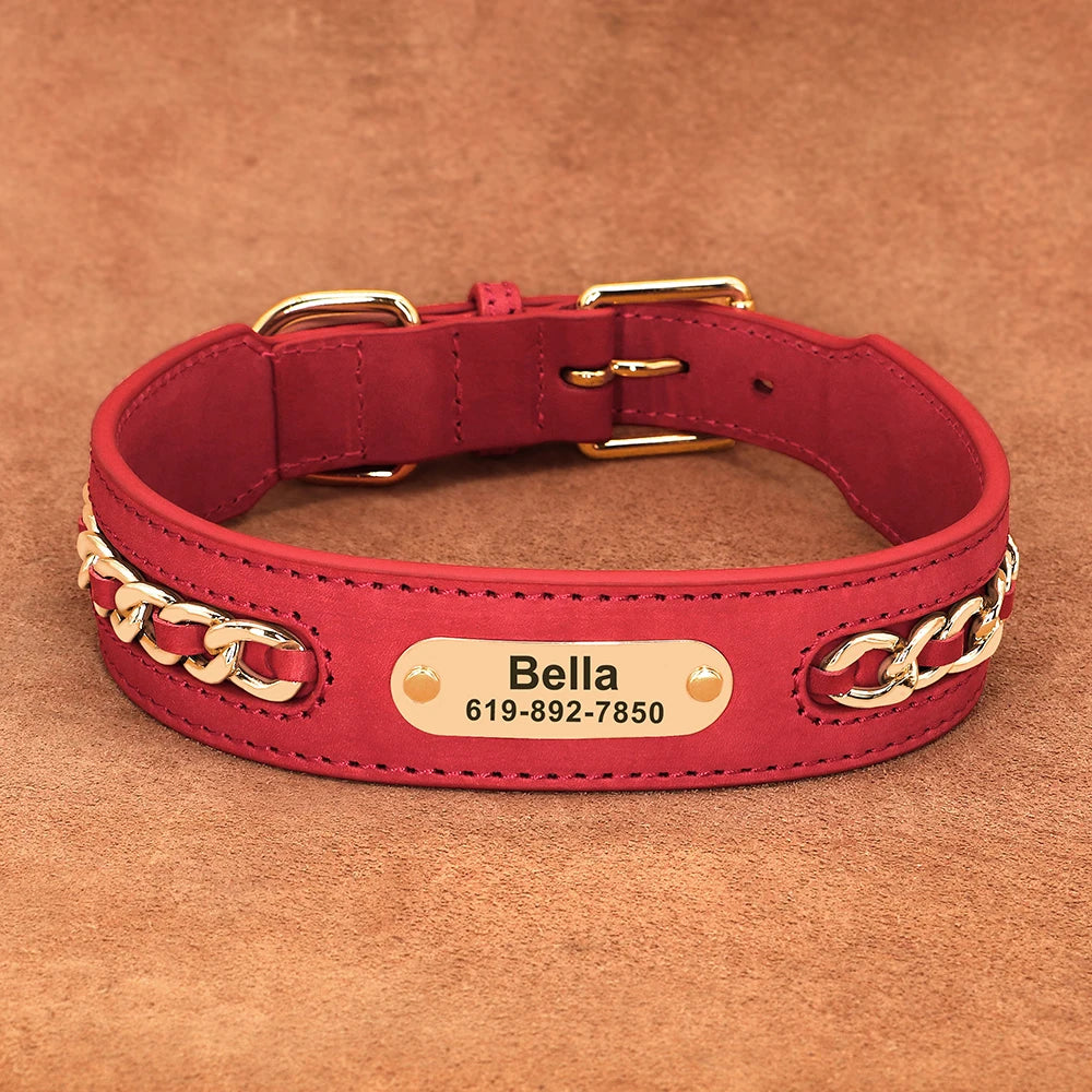 Personalized Engraved Leather Dog Collar and ID Nameplate