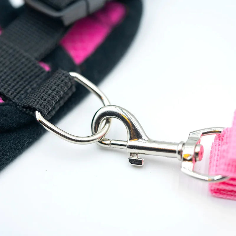 Adjustable Mesh Dog Vest and Leash Set for Small Pets