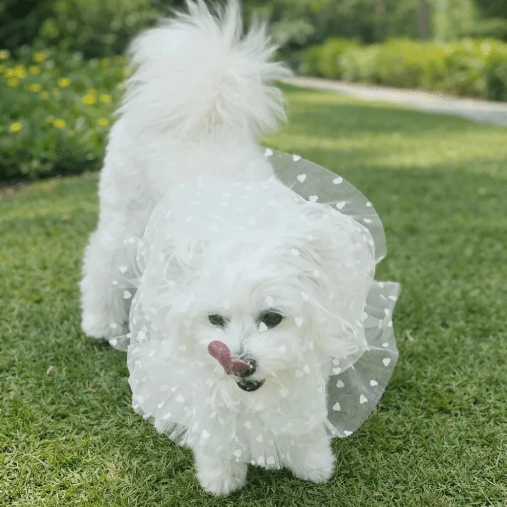 Breathable Adjustable Dog AntiBite Veil Mask