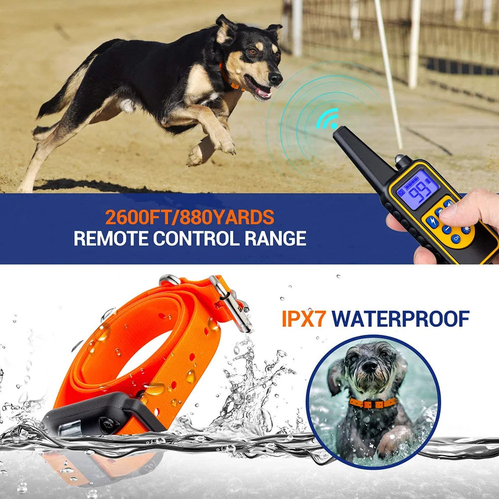 Rechargeable Electric Dog Training Collar with Clicker