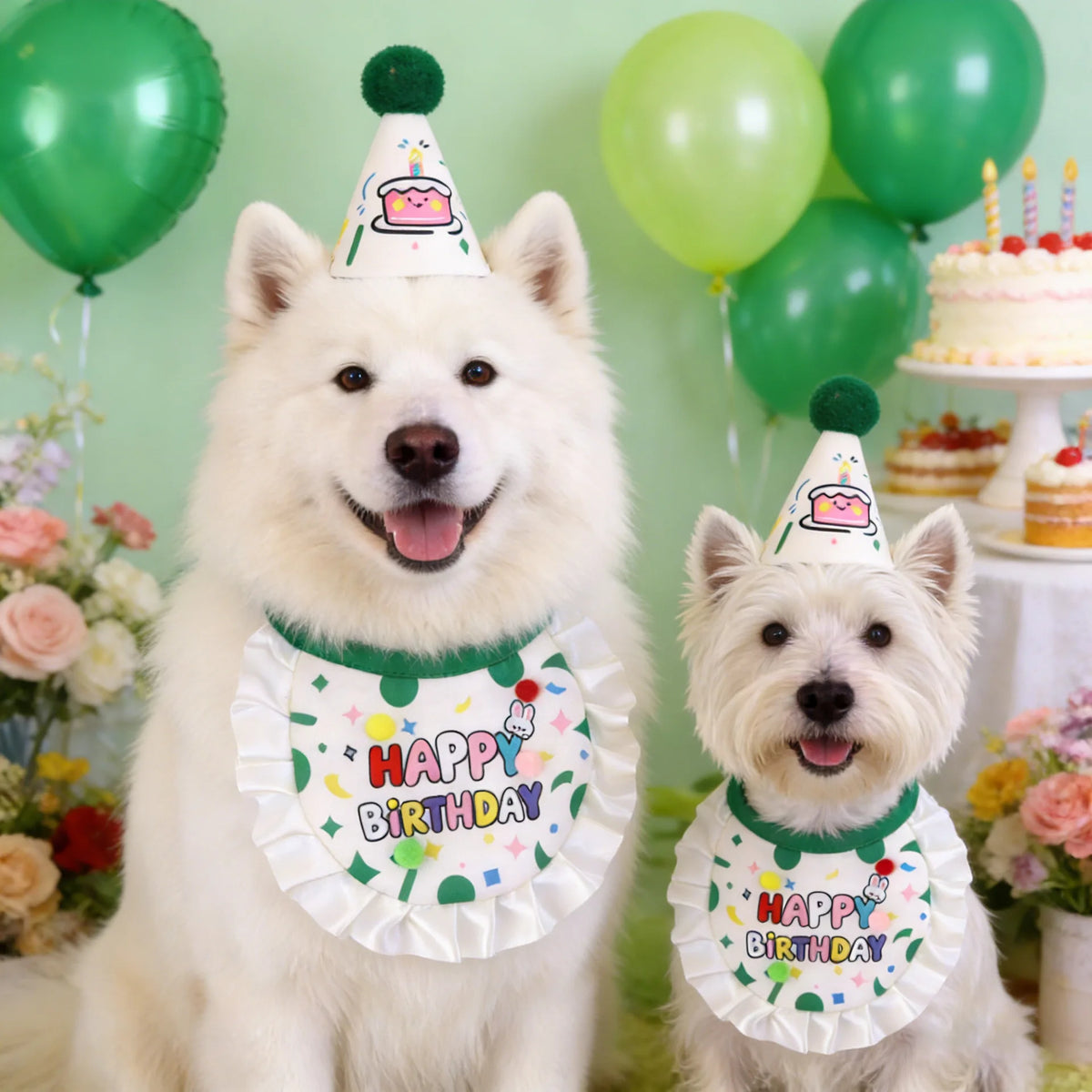 Pet Birthday Hat and Bib Party Costume Set
